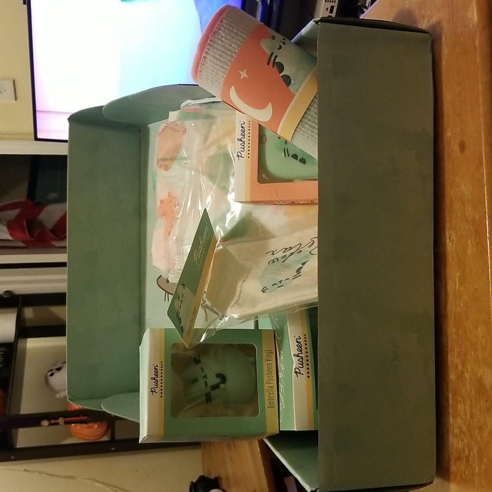 Pusheen Box